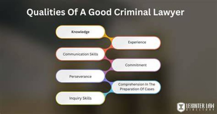 What is the income of criminal lawyer?