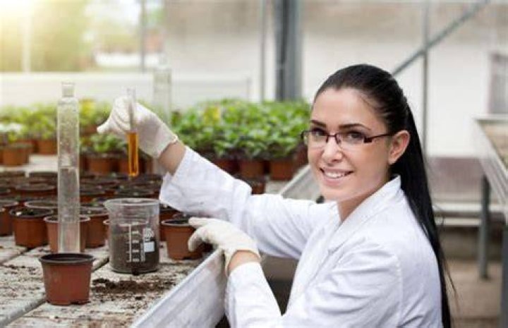 What is the job of a botanist?