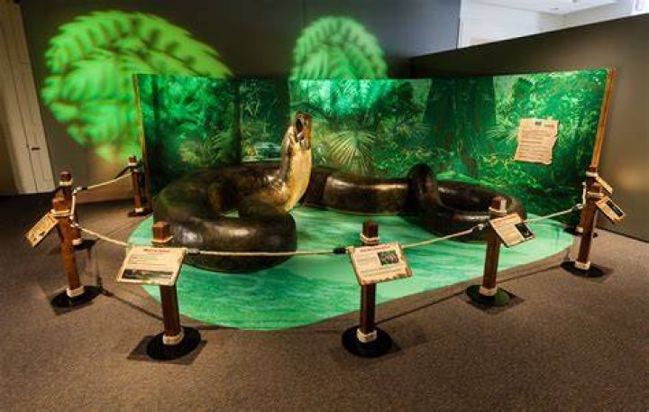 What is the largest snake in history?