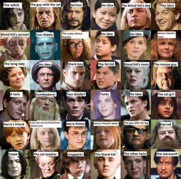 What is the least mentioned Harry Potter character?