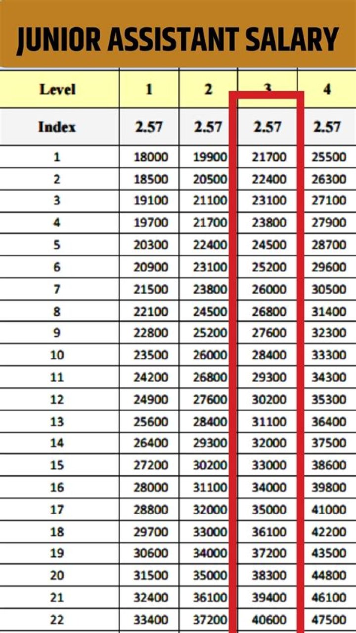 What is the level of junior assistant?