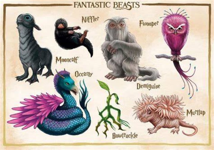 What is the little animal in Fantastic Beasts?