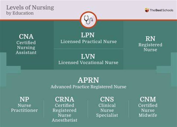 What is the lowest level of nurse?