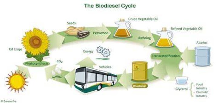 What is the main problem in using biodiesel?