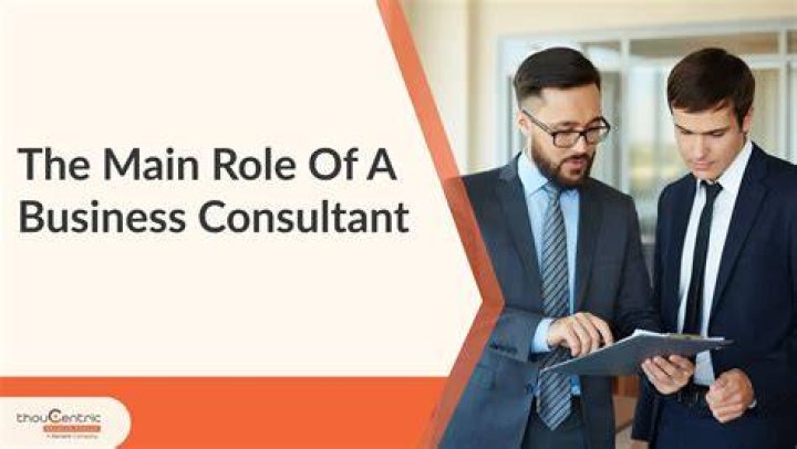 What is the main role of a consultant?