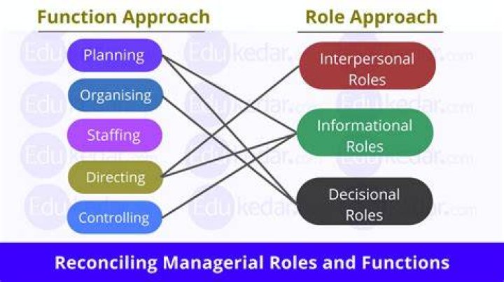 What is the main role of the functional manager?