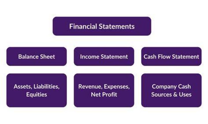 What is the major purpose of financial statements?