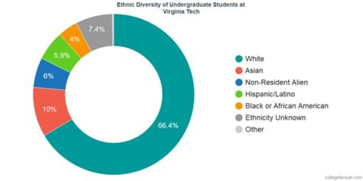 What is the male to female ratio at Virginia Tech?