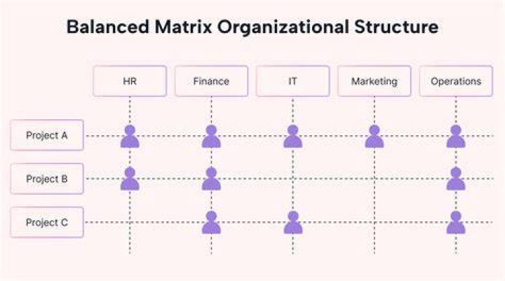What is the matrix organizational structure?