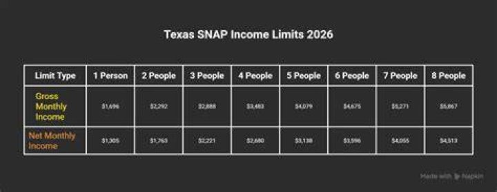 What is the maximum income to qualify for food stamps in Texas?