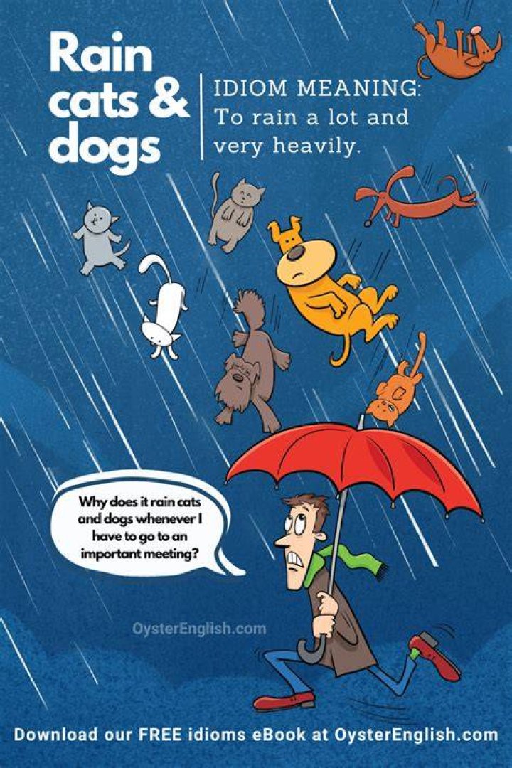 What is the meaning of raining cats and dogs idiom?