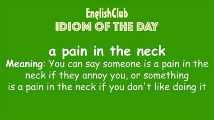 What is the meaning of the idiom pain in the neck?