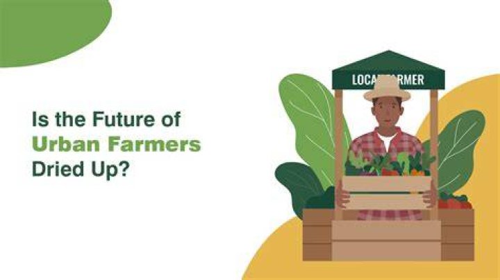 What is the meaning of urban farmer?