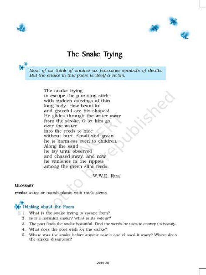 What is the message of the poem snake trying?