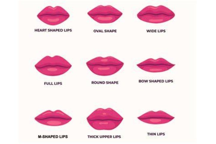 What is the most beautiful lip shape?