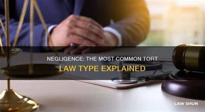 What is the most common type of tort?