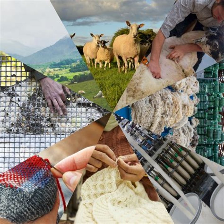 What is the most durable wool?