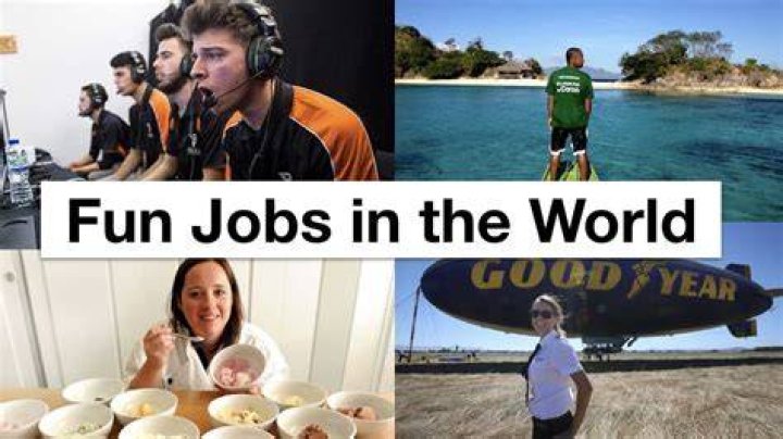 What is the most fun job in the world?
