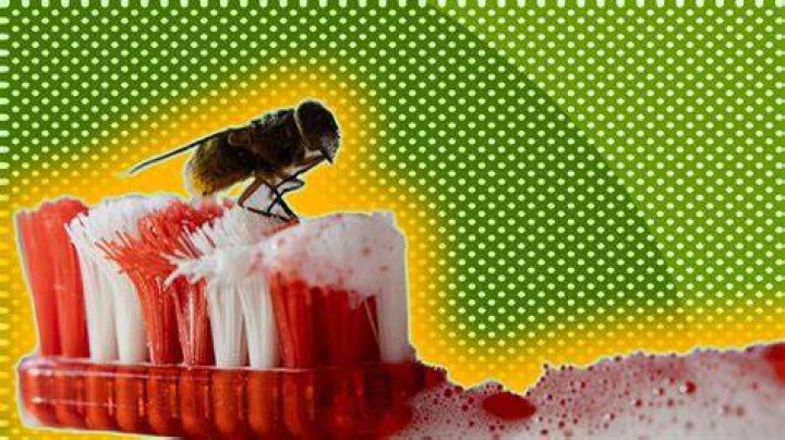 What is the most gross thing in the world?
