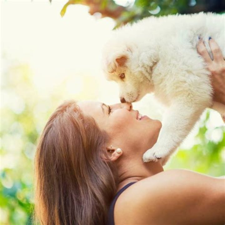 What is the most loving pet?
