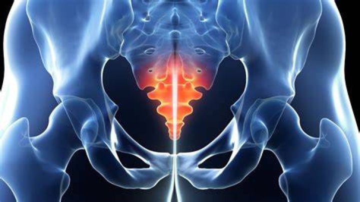 What is the most useless bone?