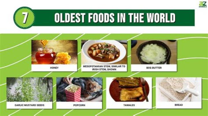 What is the oldest food on earth?