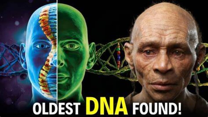 What is the oldest human DNA found?