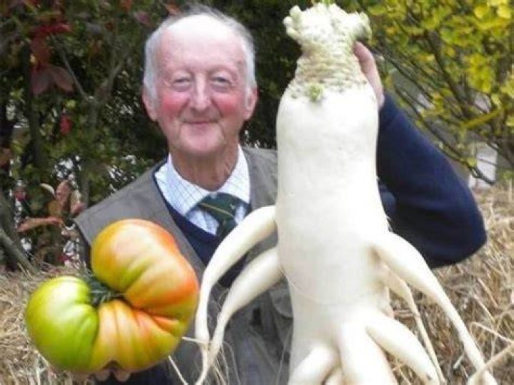 What is the oldest vegetable known to man?