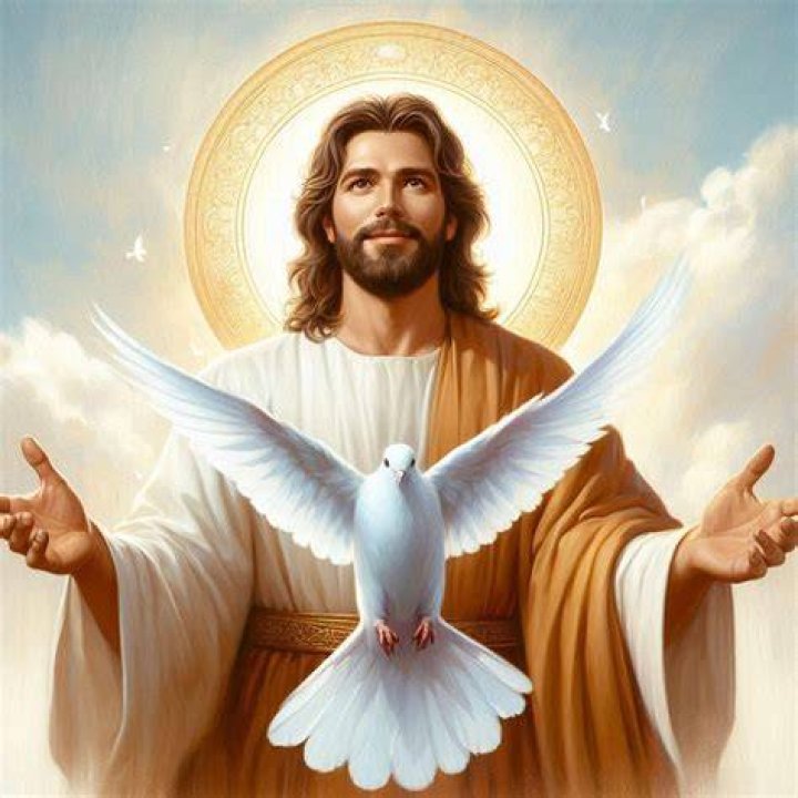 What is the peace of Jesus?