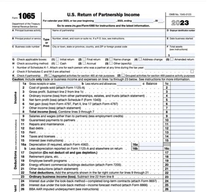 What is the penalty for late filing of Form 1065?
