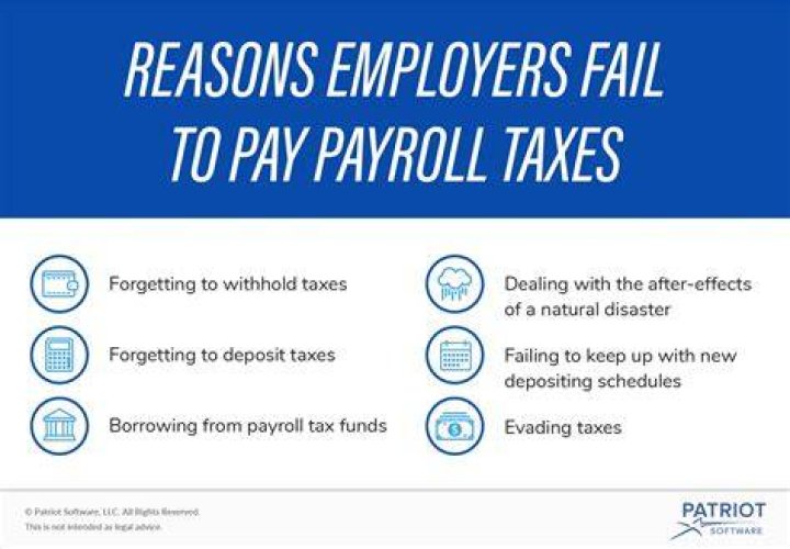 What is the penalty for not paying payroll taxes on time?