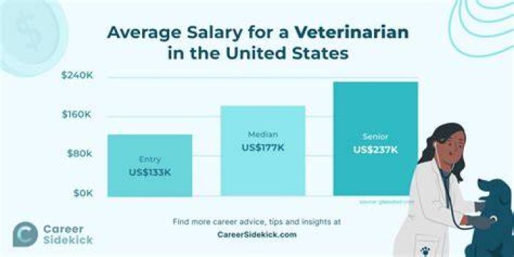 What is the potential income of a veterinarian?