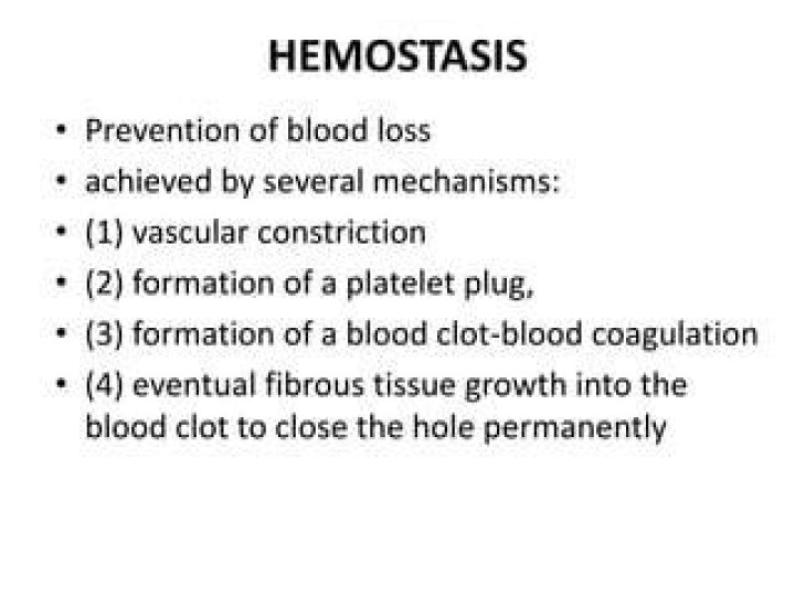 What is the prevention of blood loss called?