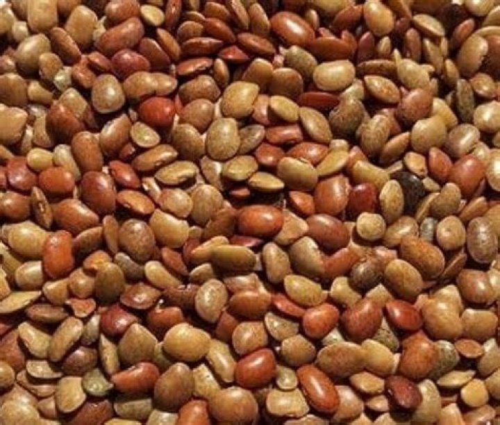 What is the price of horse gram?