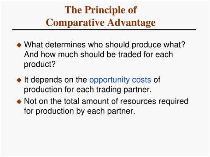 What is the principle of comparative advantage?
