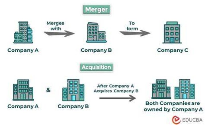What is the problem with very large companies merging?