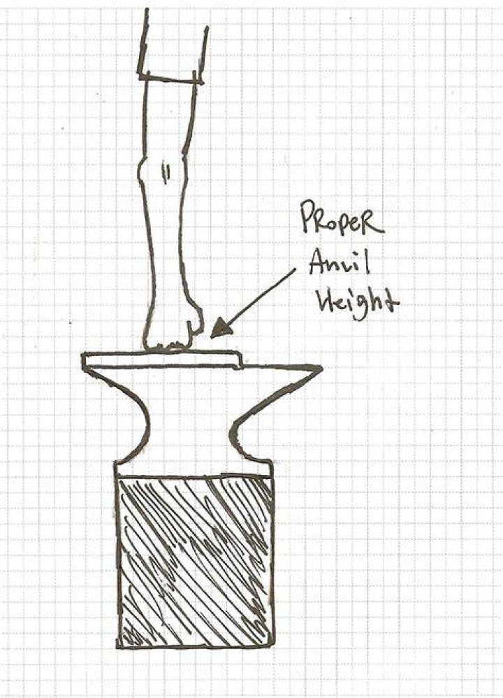 What is the proper height for an anvil?