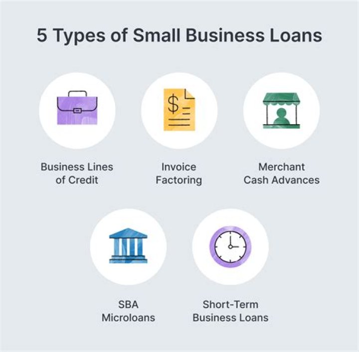 What is the purpose of a small business loan?