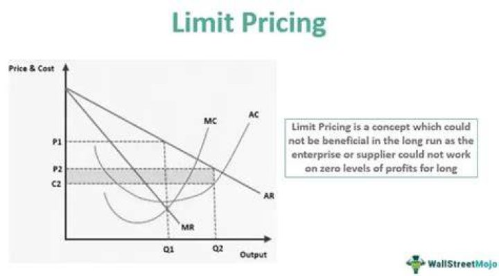 What is the purpose of limit pricing?