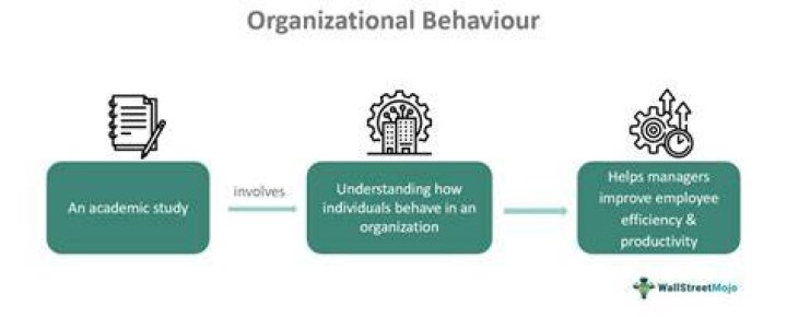 What is the purpose of organizational behavior?