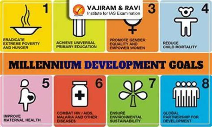 What is the purpose of the 8 Millennium Development Goals?