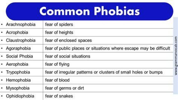 What is the rarest fear in the world?