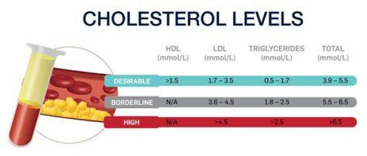 What is the recommended range for cholesterol?