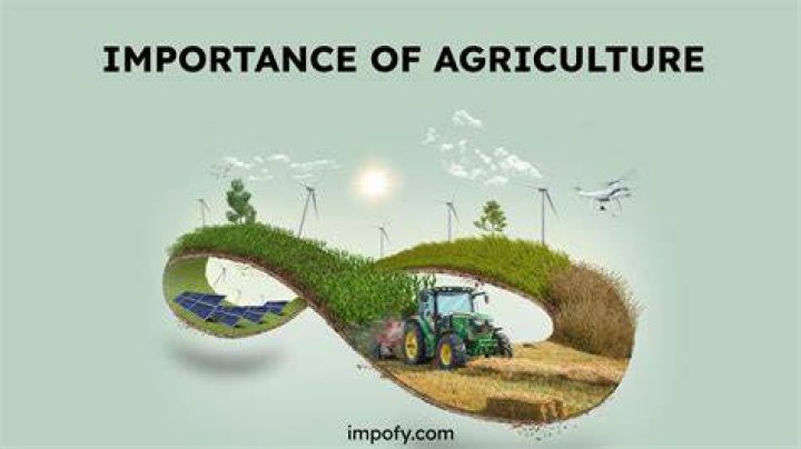 What is the role and importance of agriculture?