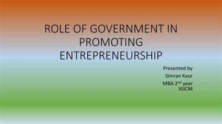 What is the role of government in promoting and supporting entrepreneurship?