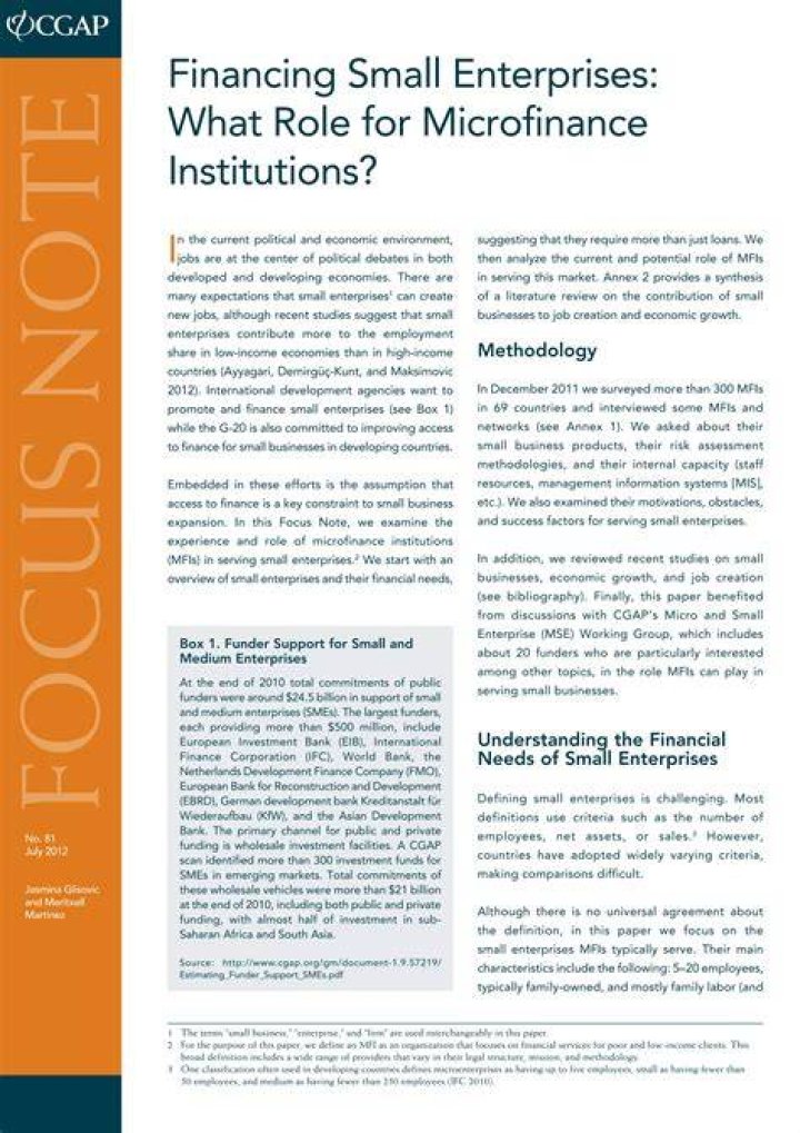 What is the role of Mfis in small scale business financing?