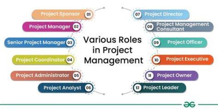 What is the role of project manager in project management?