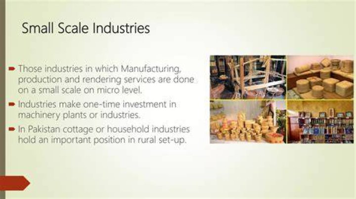 What is the role of small scale industry in Pakistan economy?