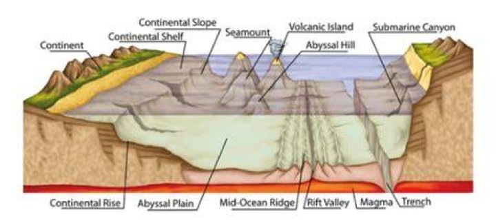 What is the shallowest ocean?