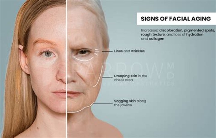 What is the signs of ageing on the face?